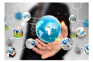 互聯網推廣實戰 技術與市場營銷策劃的融合之道